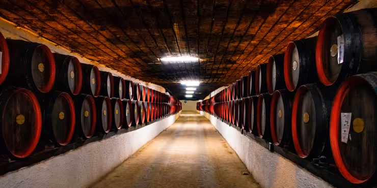 Elaboración de vinos