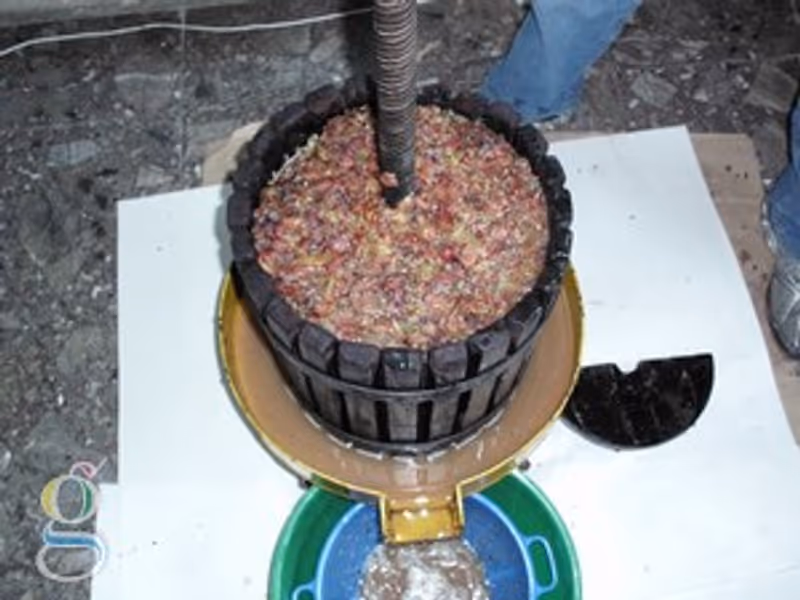Elaboración casera de vino - Moscato