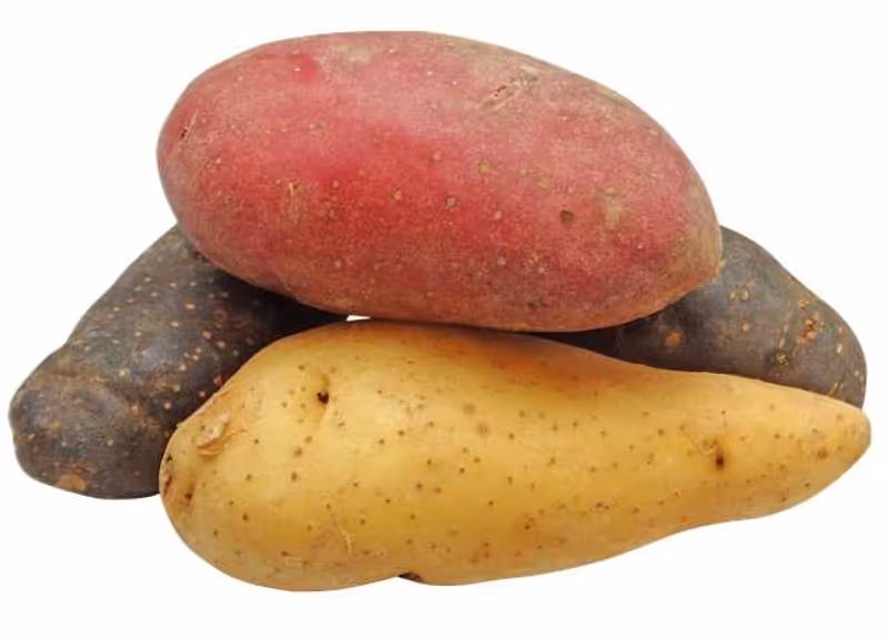 Papas Papas
