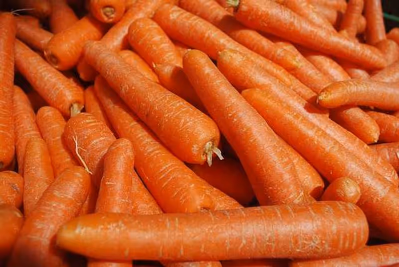 Zanahorias Zanahorias