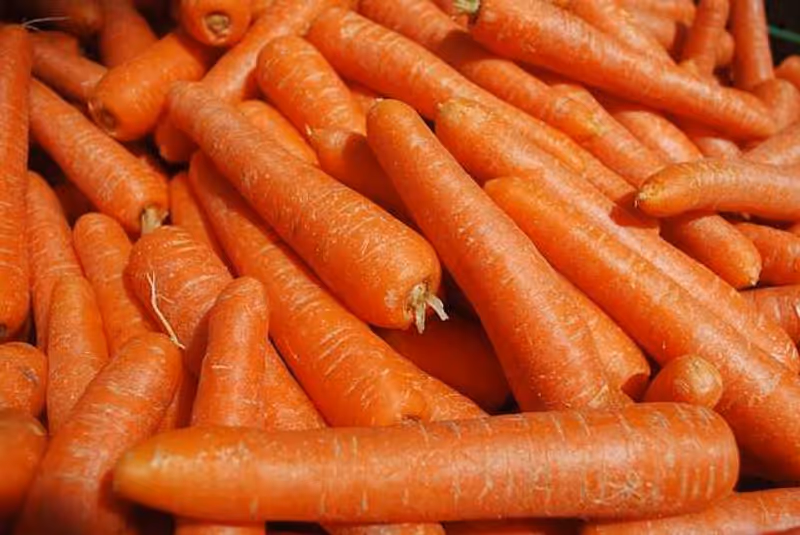 Zanahorias Zanahorias